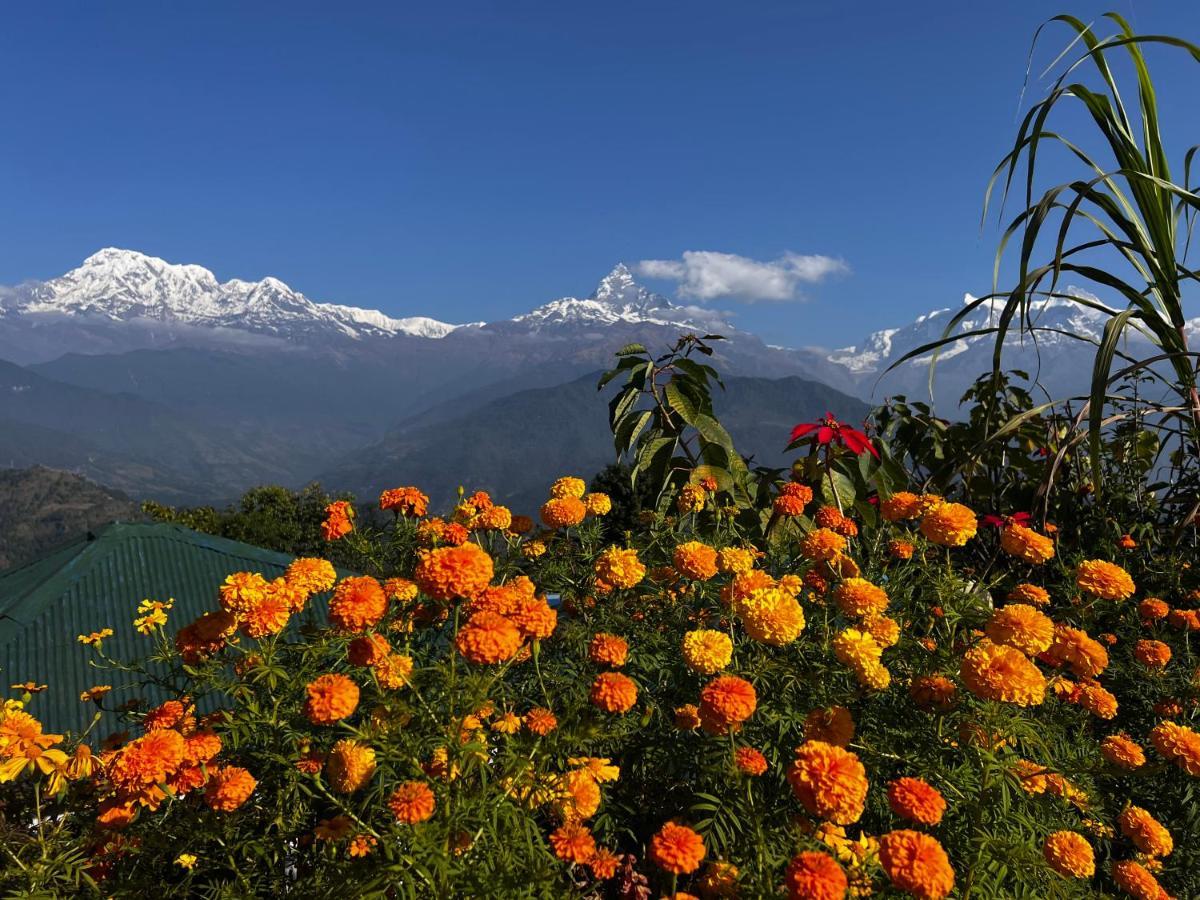 Es Deurali Resort Pokhara Extérieur photo