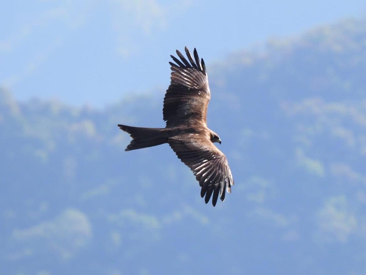 Es Deurali Resort Pokhara Extérieur photo